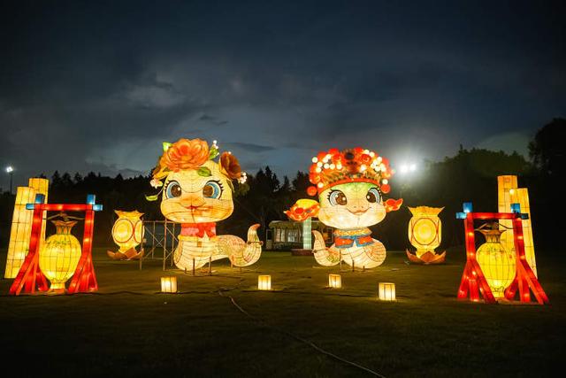 白天尝柑桔赏美景，晚上逛夜市享美食！长兴岛农文旅主题系列活动从白天嗨到夜晚，游人如织