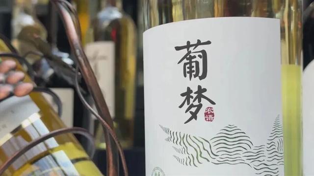 聚焦第九届河北省旅游产业发展大会张家口分会场|张家口怀来世界葡萄酒之窗葡萄酒嘉年华开启