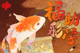 石家庄市民政局启动2025年 “福彩献真情 爱心助学子”活动图片