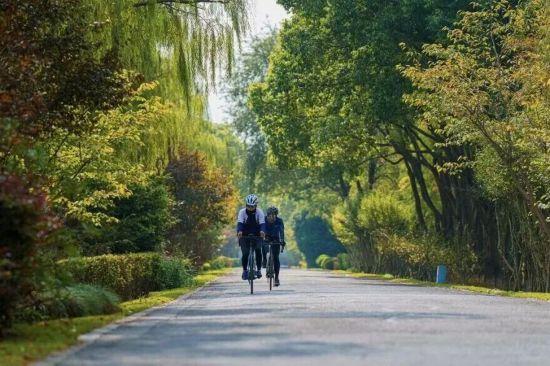 人在画中游！来上海郊野，骑进自然乡野秋韵里