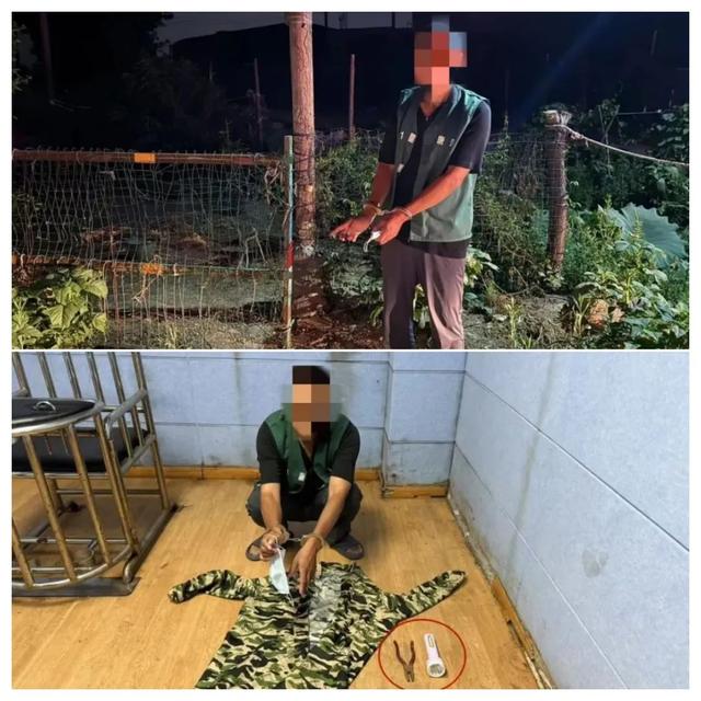 男子为吃铁锅炖大鹅偷鹅被拘