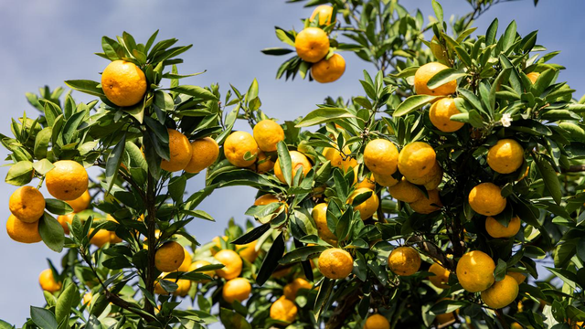 行走山海湖，邂逅“盐”奇观，2025环浙步道系列赛海盐站蓄势待发