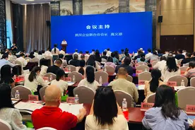 武汉2024企业100强分析报告发布图片