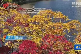 秋天最斑斓树上线了 乌桕为何姓“乌”？图片