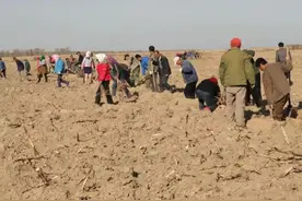 新民市：厚植“生态环境”底色 筑牢“新民绿色”屏障图片