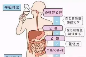 “头孢配酒”，真的“说走就走”？春节期间用药、饮酒勿大意！图片