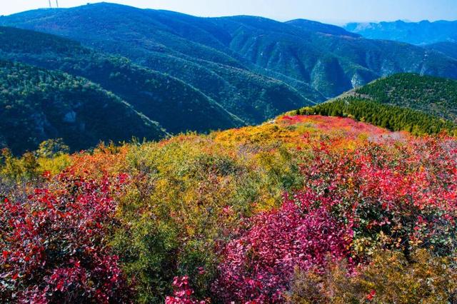 周末出发！河南最美彩色地图上线