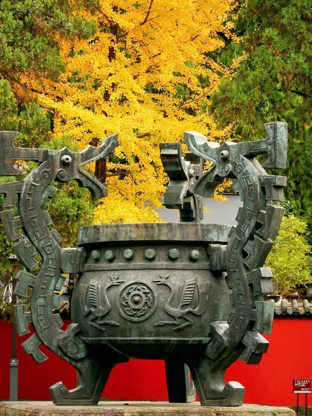 金灿灿！成都人的“顶流”上线，错过等一年！