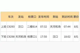 汉口站⇋天河机场，12分钟图片