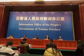 【云新发布】9月普洱市林草综合产值达374.4亿元，增长19.7%图片