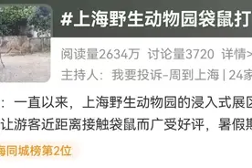 游客爆料：在上海野生动物园，被袋鼠打伤！还有人被扇耳光？园方最新回应图片