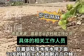 蜂农300多万只蜜蜂离奇死亡 当地农业农村局：已在调查图片