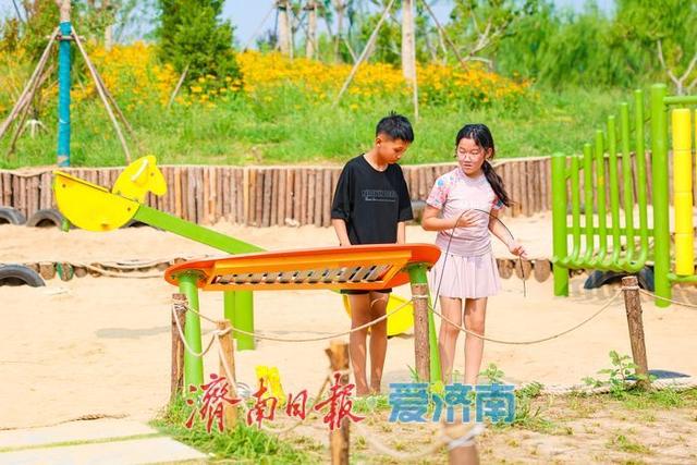 一年四季 泉在济南丨稻风荷语 绿意诗行