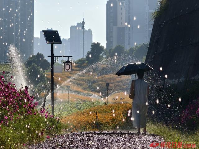 福地怀化 懂你如家｜城南街道湖天小游园“花海世界”引市民沉醉