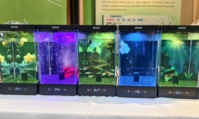 好吃好玩又好逛！本周末约定你庆丰收