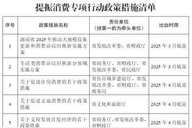 湖南省提振消费专项行动方案：2025年新能源乘用车销量占比40%以上图片