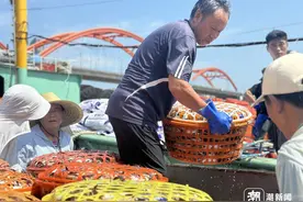 等蟹来等开工，想赚钱也想家人，舟山国际水产城里拼手速的扎蟹女工们图片