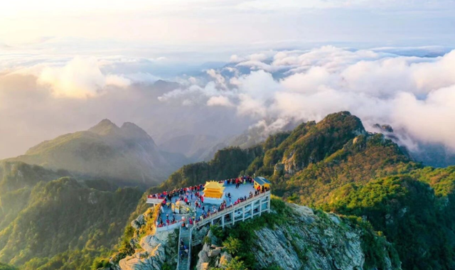 来河南这些森林秘境，把春天种进心里