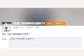 “起猛了，看到蟑螂有应援棒了！”正值高峰期，如何与它们斗智斗勇图片