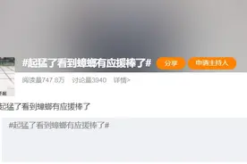 “起猛了，看到蟑螂有应援棒了！”正值高峰期，如何与它们斗智斗勇图片