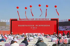 2023山西•怀仁羔羊肉交易大会开幕图片