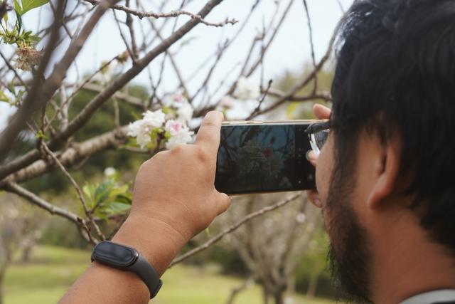 植物园不止失去一个秋天