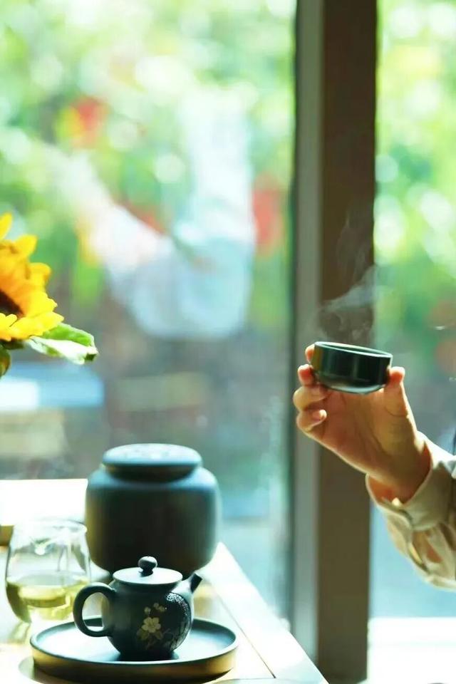 别宅家！赴一场20℃的暖冬旅居之约