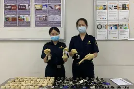 禁止入境！成都海关查获一批钥匙扣抓痒挠，为袋鼠睾丸皮囊爪子制品图片
