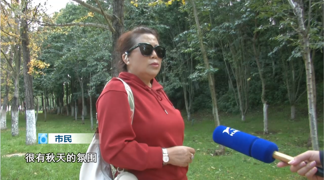 “捡秋”+ 拍大片！洛龙公园“秋日限定”正当时