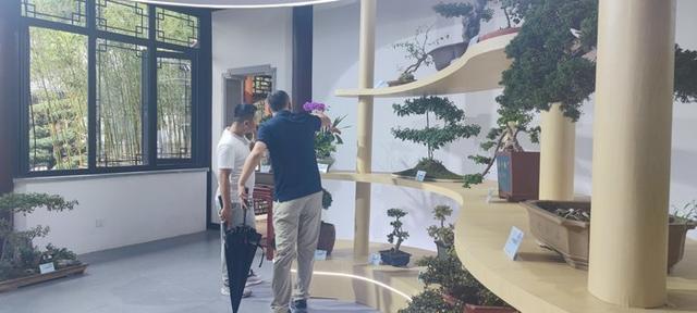 5大展区亮点纷呈！济南起步区鹊山生态文化区藏着“齐鲁园林盛宴”