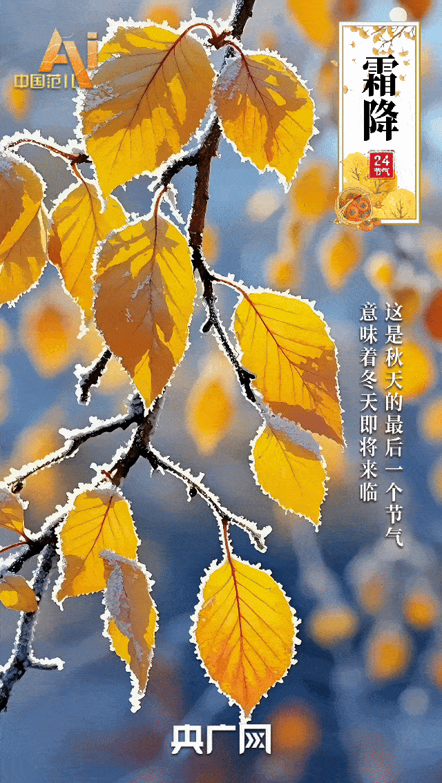 好柿成“霜” 喜从天“降”