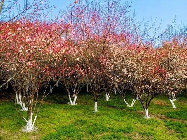 开了？达州：真的开了！