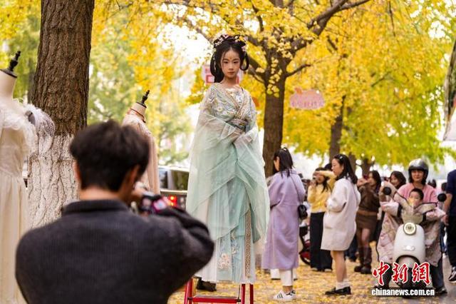 湖北荆州：古城墙下银杏黄 秋意正浓醉游人