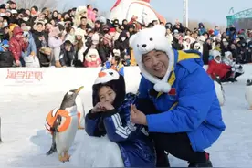 “小当归”来到哈尔滨极地公园，与淘学企鹅“团圆”图片