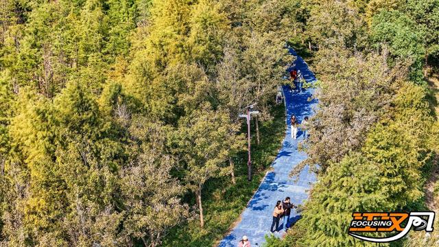 共赴一场荆秋之约