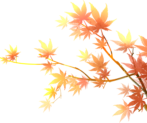 红了！上海枫叶已变色