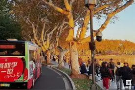 诀窍分享！抓住假期尾巴，西湖边“丝滑”出行图片