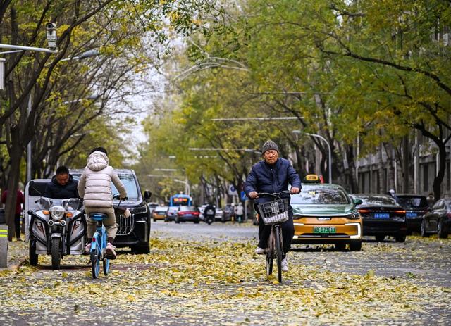城事｜冷空气接连来袭，甘肃内蒙古等地迎降雪
