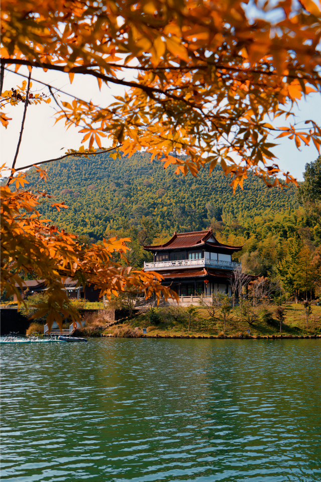 现在的宜兴，已经美成这样了……