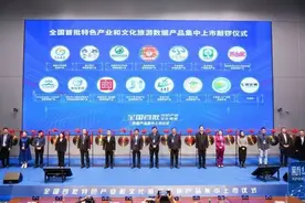 河南首个文旅数据产品“王婆说媒”正式上市图片