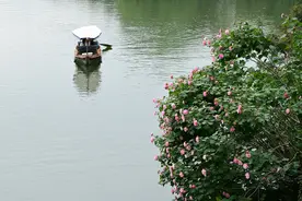 浙江台风警报，下班赶紧回家，最强风雨将至图片