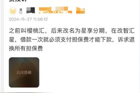 金融灰黑产年终盘点：变相高利贷平台出清，债务重组套路翻新 | 回顾2024图片