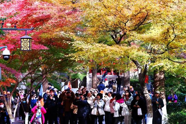 此时此刻，最美的栖霞山！