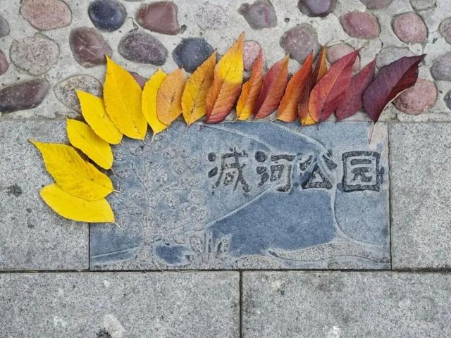 太美了！来副中心，邂逅落叶童话~