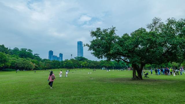 开放共享公园绿地 赋能宜居宜游新体验 深圳用生态软实力筑牢营商环境硬支撑
