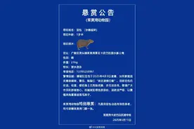 扬州一动物园卡皮巴拉逃出40天图片