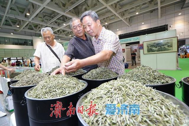 “泉・茶”盛宴第二天 市民共享文化茶香