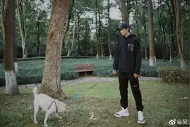 前有400美元一条狗项链，后有黄金品牌进军宠物界，谁是它背后的“氪金玩家”？图片