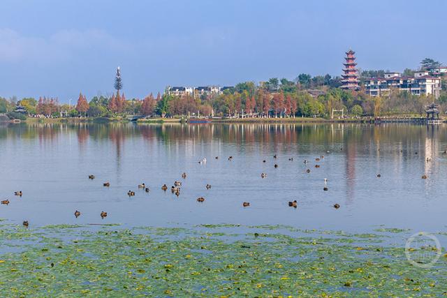 重庆梁平：冬景美如画