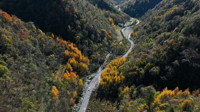 双城周刊｜跨省“微度假” 解锁川渝小城引流密码
